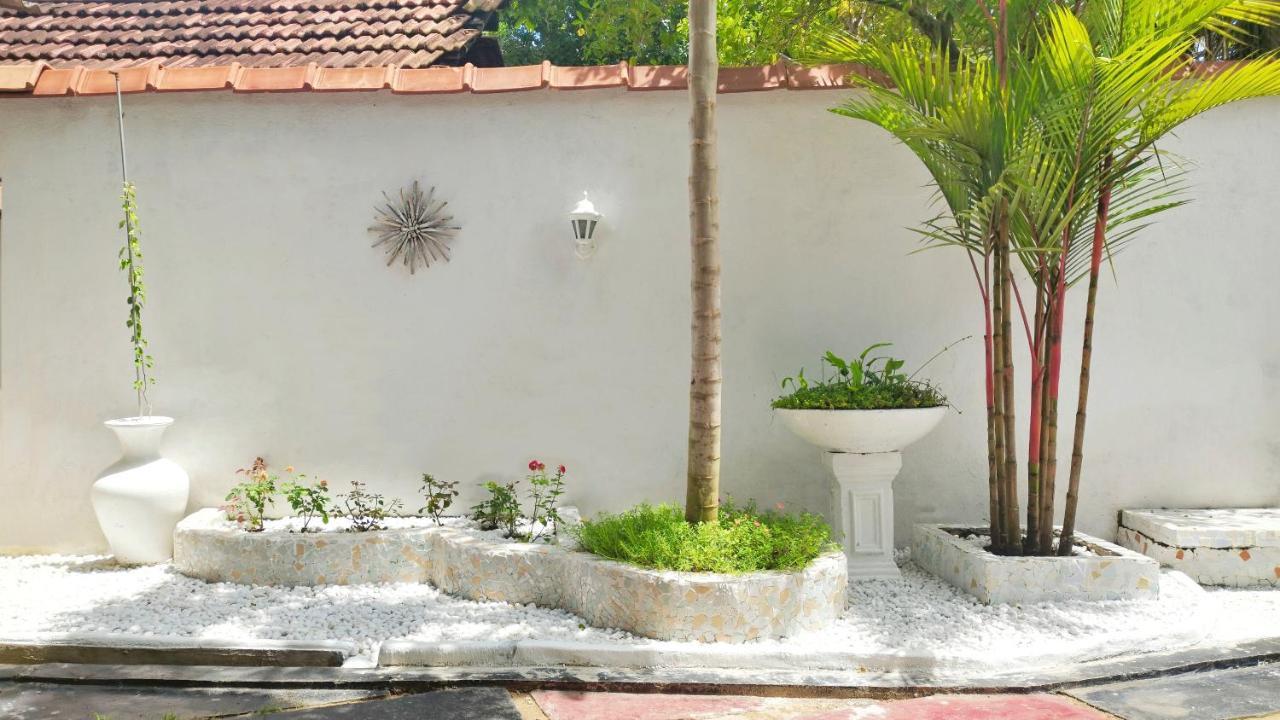 Boho Garden Guest House Mirissa Dış mekan fotoğraf